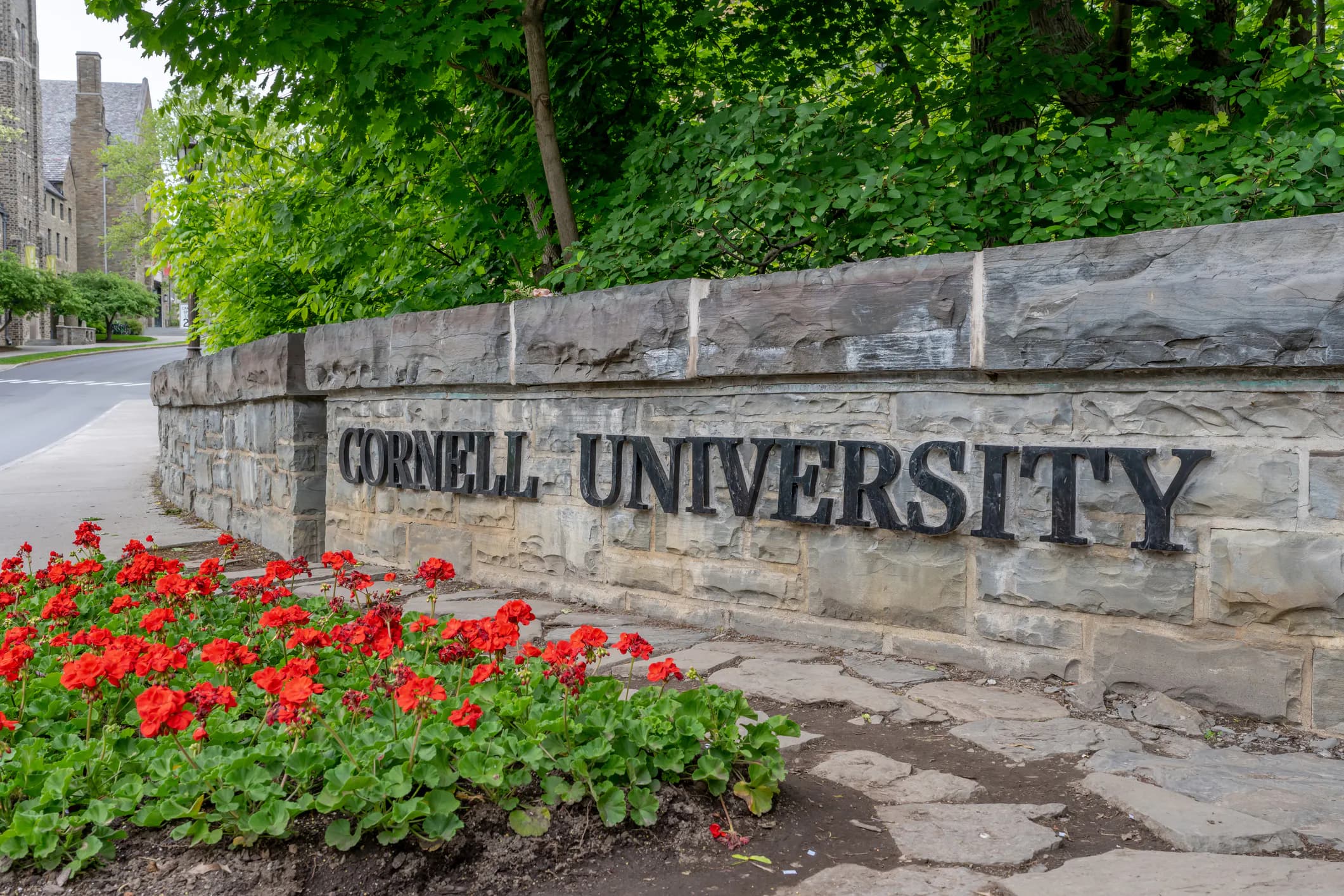 Internet Mob Targets Wrong Family After Cornell 7 Lawsuit Mix-Up