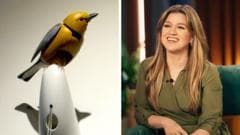 Inside Brooklyn novelty shop at centre of 'surreal' row with Kelly Clarkson over mechanical bird
